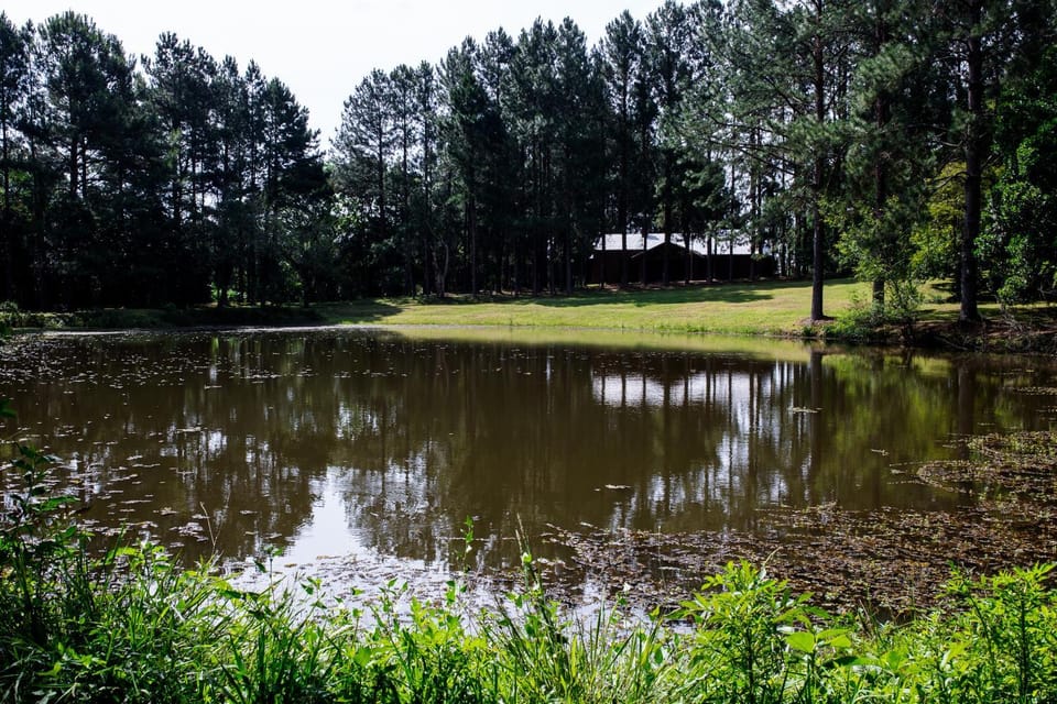 OM B&B + Spa Bed and Breakfast in State of Rio Grande do Sul