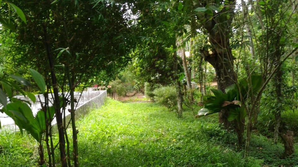 Natural landscape