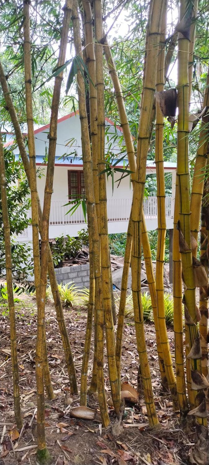 Philip Mary Farm Stay Farm Stay in Kerala