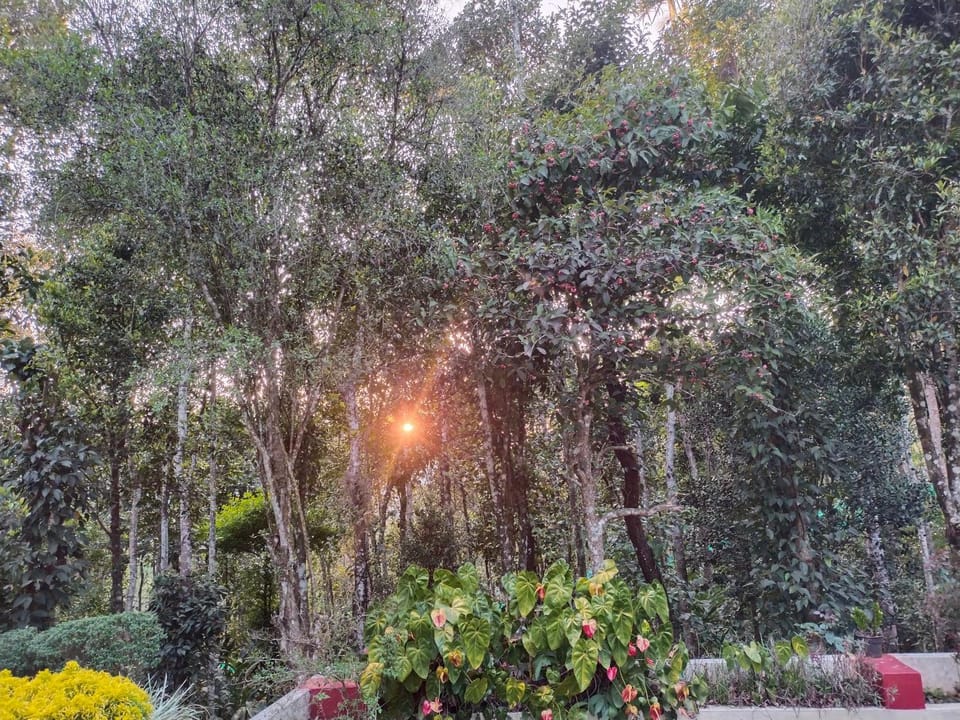 Philip Mary Farm Stay Farm Stay in Kerala