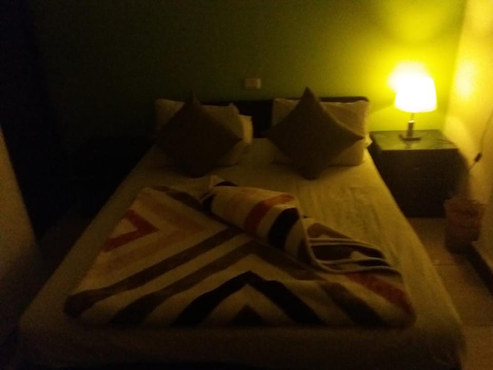 Cairo Golden Plaza Hostel Hostel in Cairo