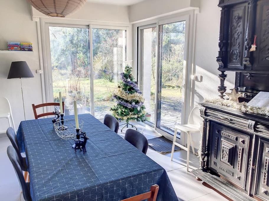 Winter, Dining area, Garden view
