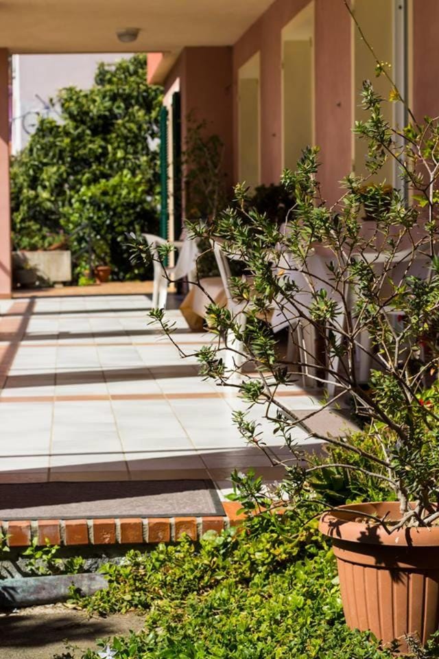 Garden, Balcony/Terrace