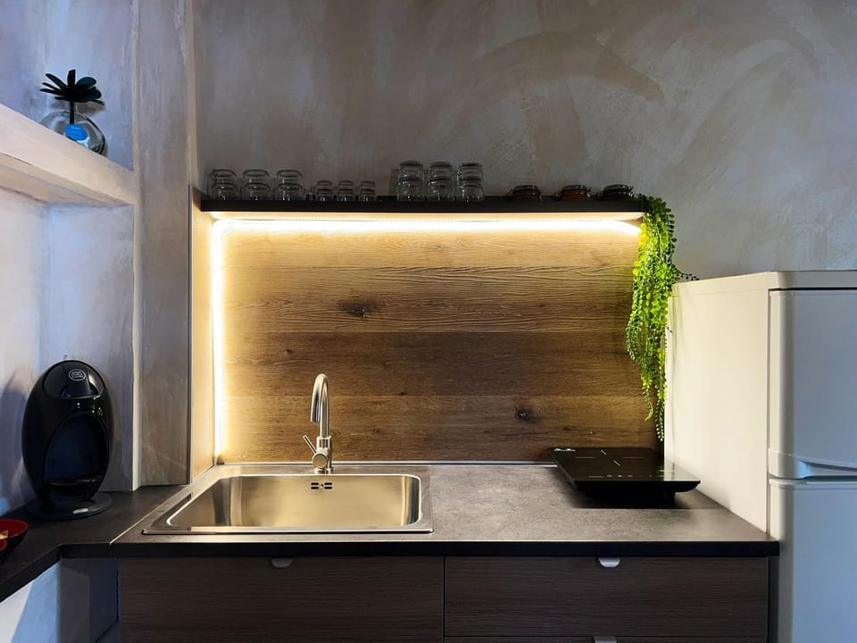 Kitchen or kitchenette, kitchen