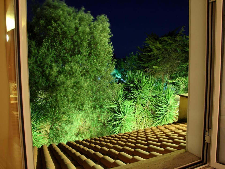 Garden view