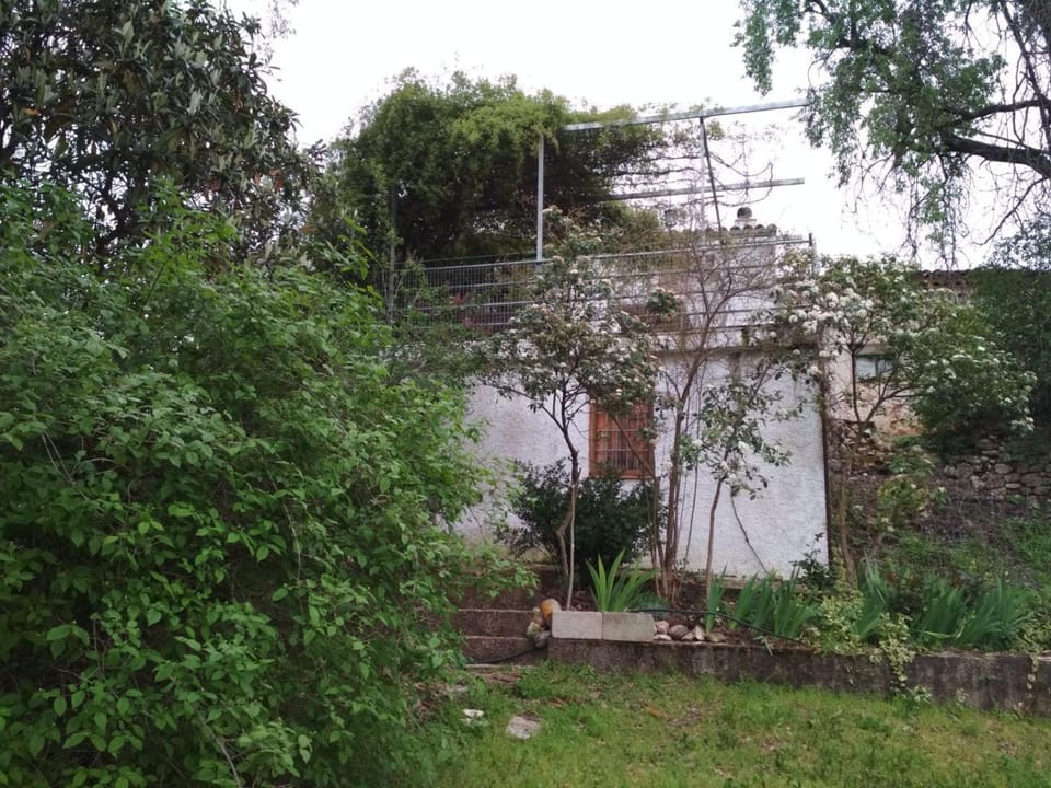 Mesoncillo NEO House in Castile-La Mancha