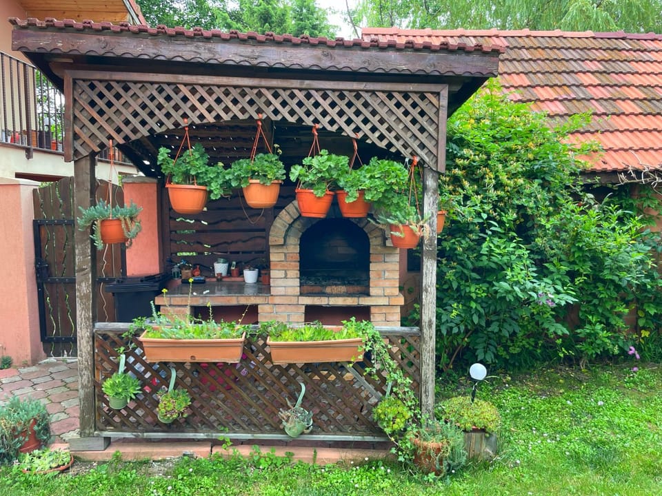 Casa de Vacanta "La Faurie" Nature lodge in Serbia