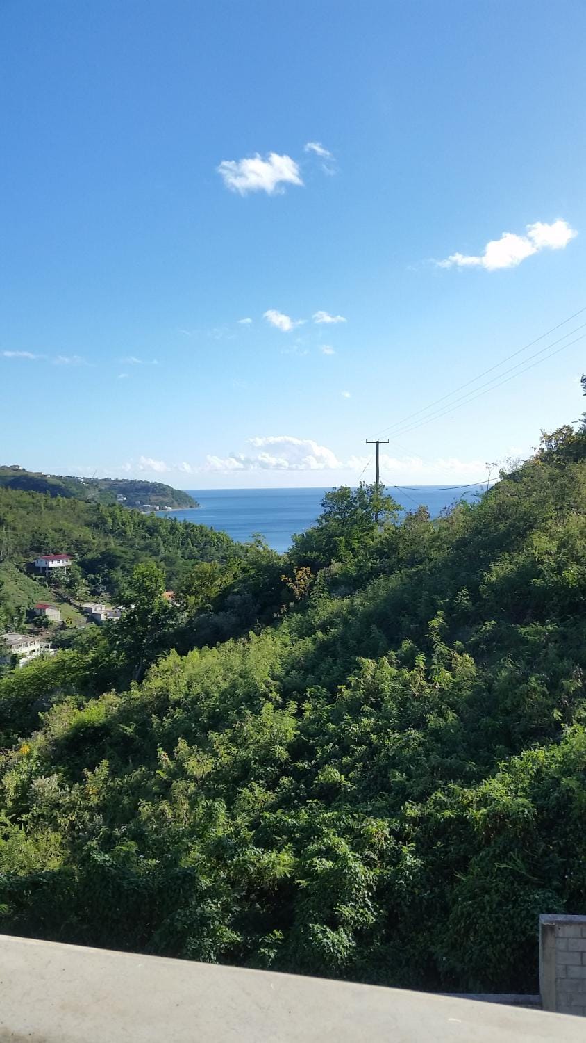 Campeche Villa Apartment in Dominica