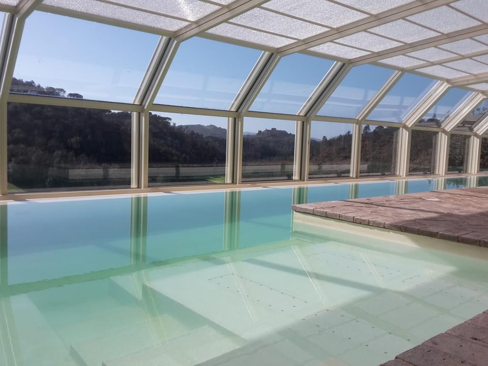 Swimming pool, Sports, Entertainment
