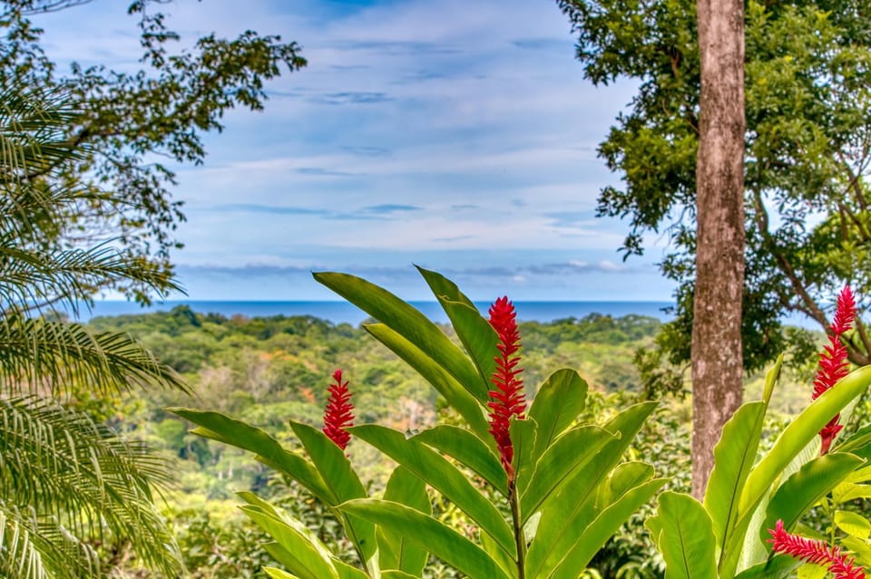 Hotel Casa Conley Del Mar Hotel in Costa Rica