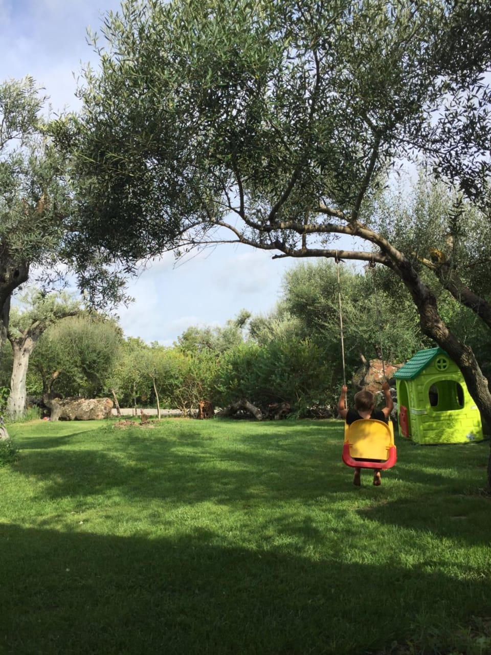 Children play ground, Garden