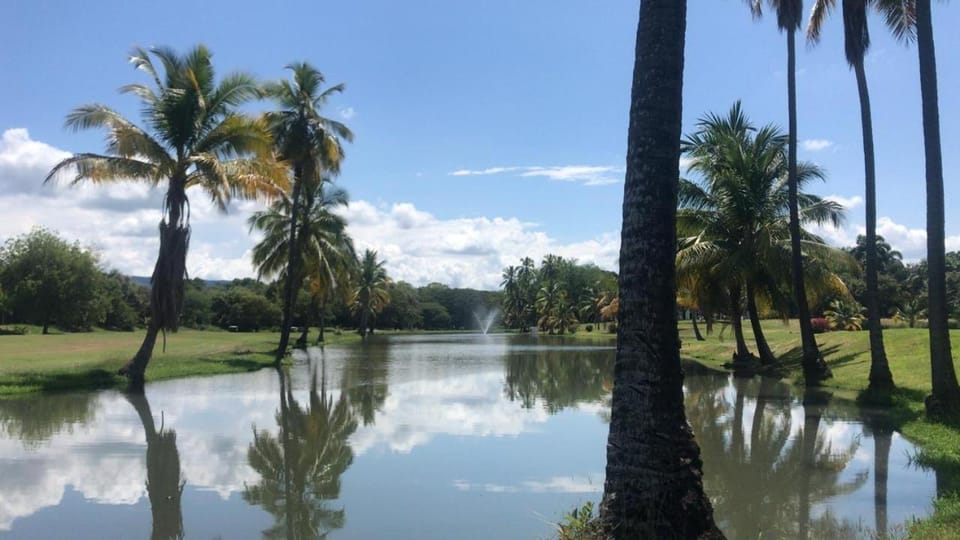 Natural landscape, Garden, Hiking, Lake view