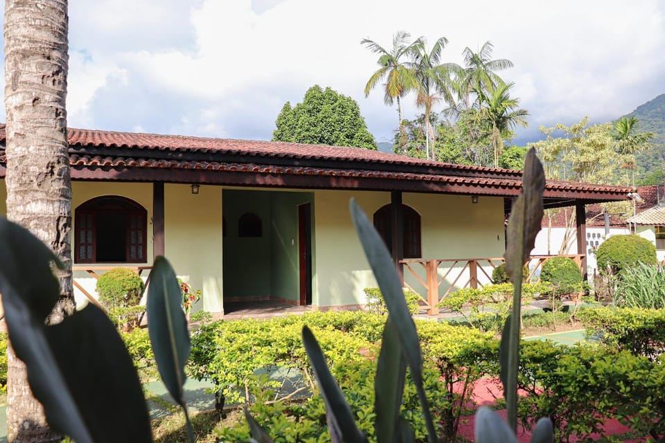 Patio, Garden