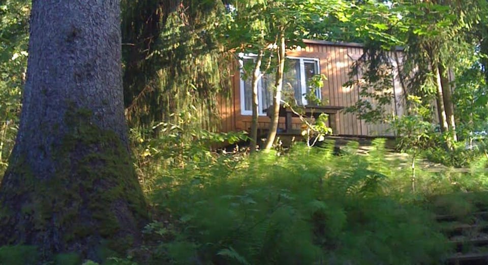 Property building, Natural landscape, Garden
