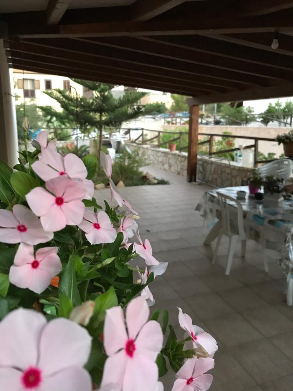 Patio, Garden, Balcony/Terrace, Dining area