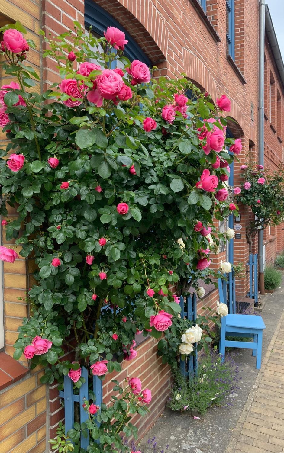 "Auszeit Friedrichstadt" Apartment in Friedrichstadt