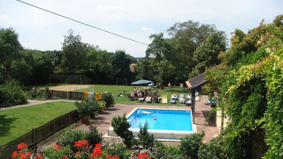 Day, Summer, Garden, On site, Swimming pool, group of guests