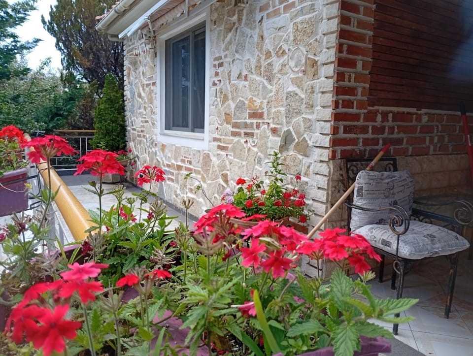 Arti Vila House in Ksamil