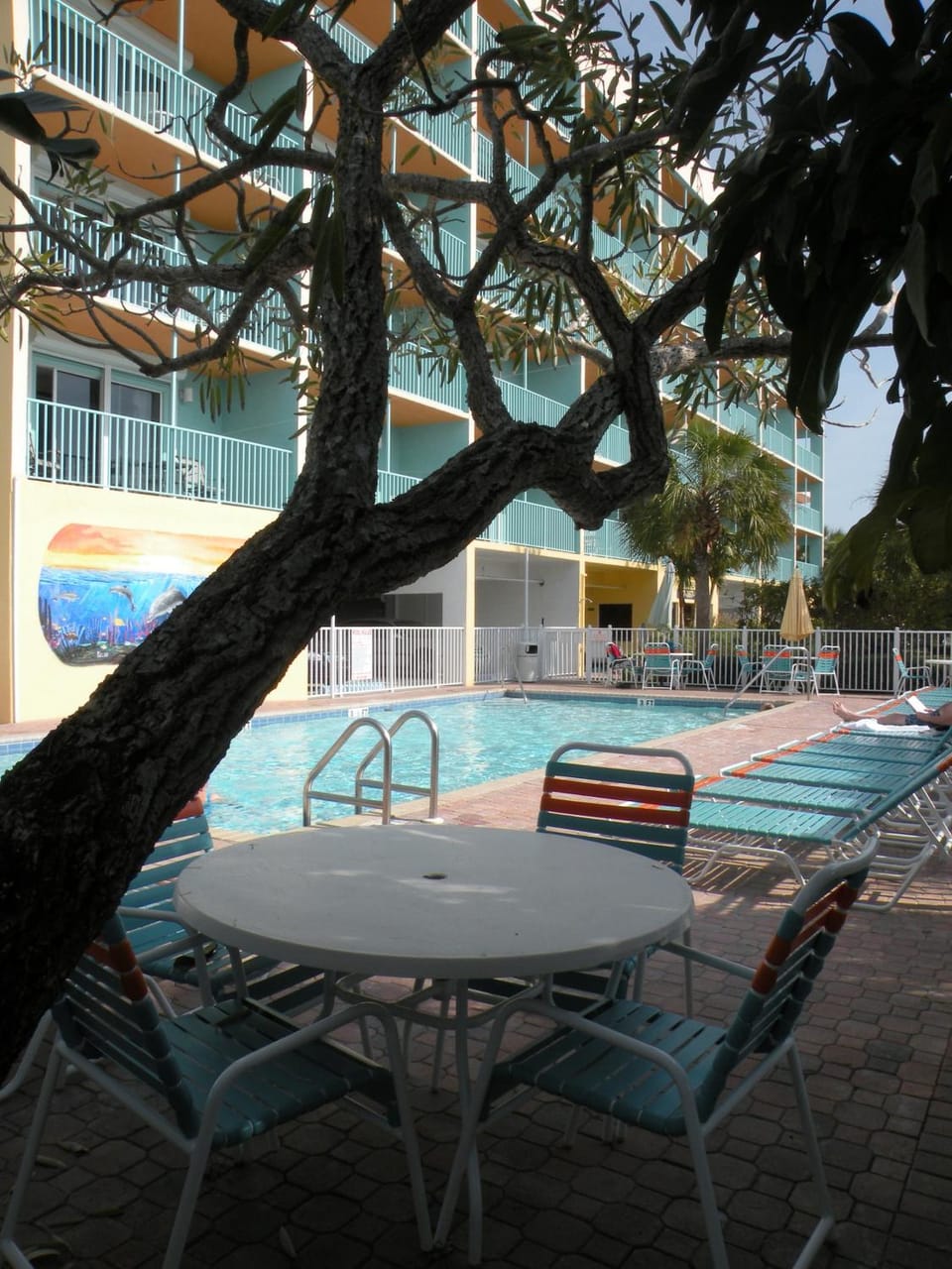 Swimming pool, Swimming pool