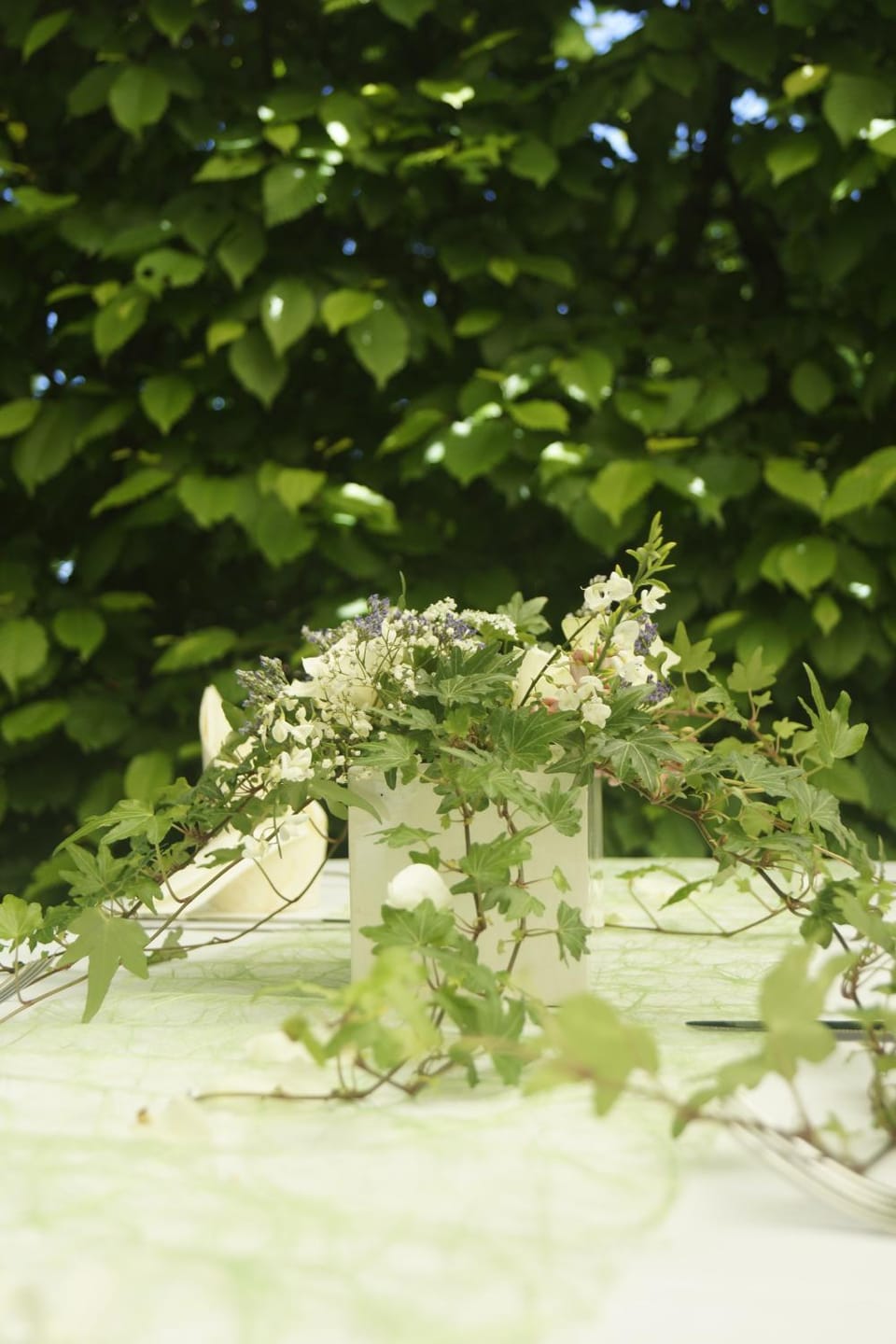 Restaurant/places to eat, Garden