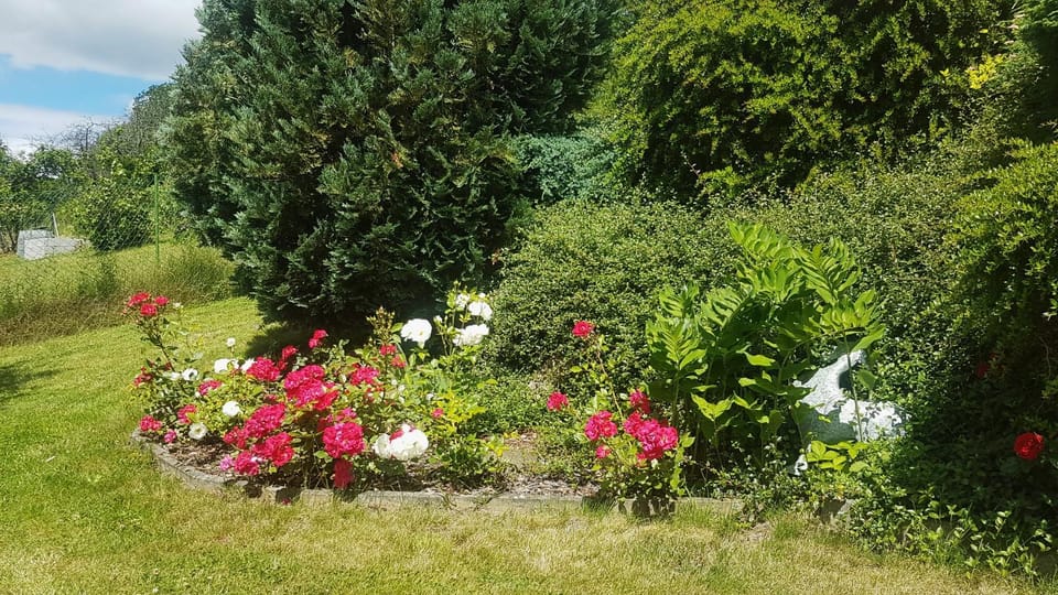 Garden, Garden view
