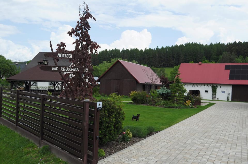 Day, Natural landscape, Garden, Garden view
