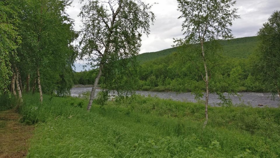 Neighbourhood, Natural landscape, Summer, Beach, On site