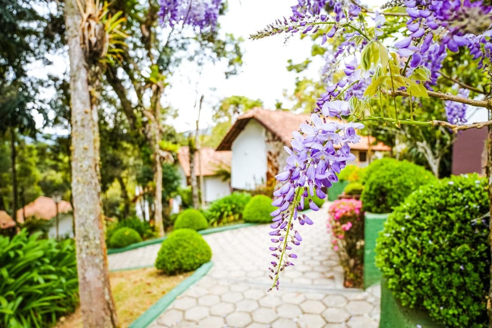 Property building, Garden, Garden view