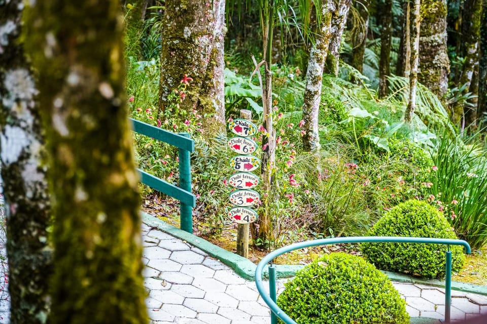Day, Garden, Area and facilities