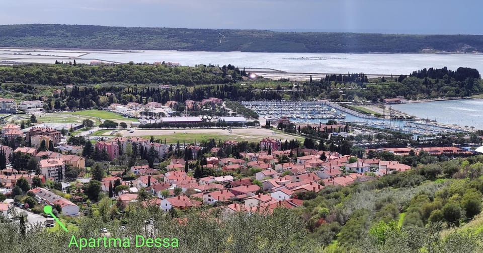 Neighbourhood, Bird's eye view