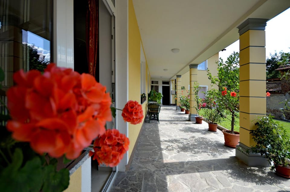 Patio, Garden