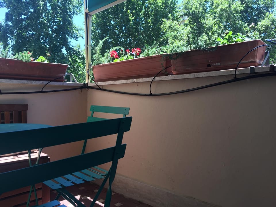 View (from property/room)
