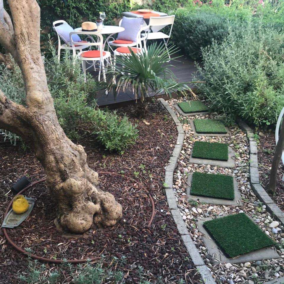 Garden view