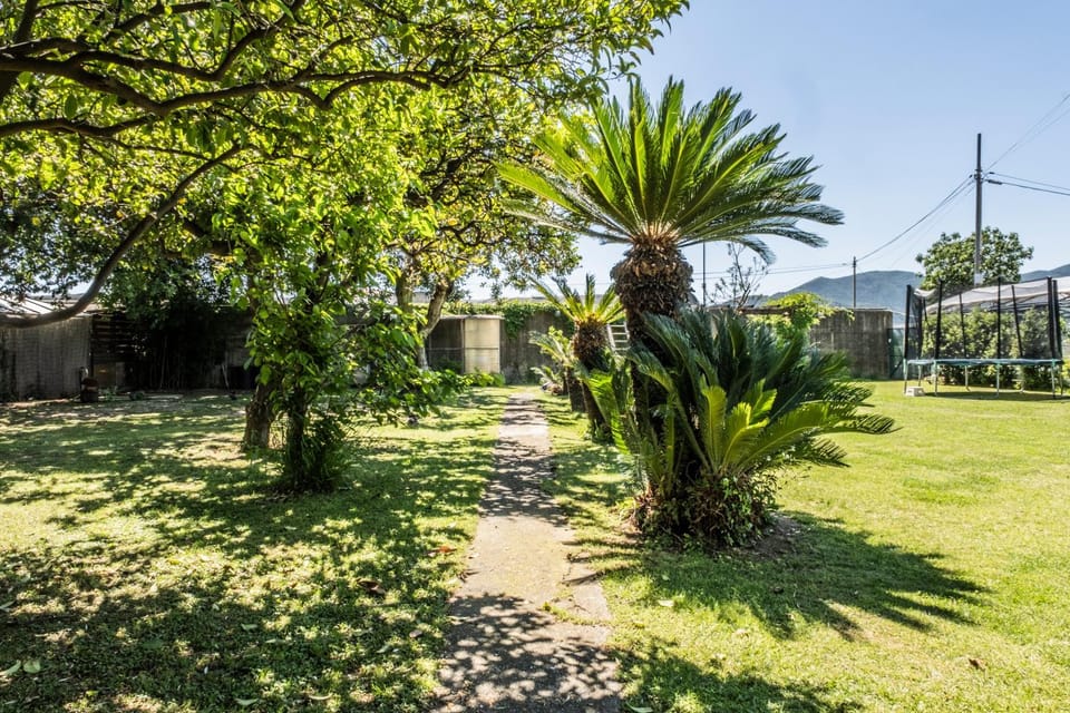 Spring, Garden, Garden view