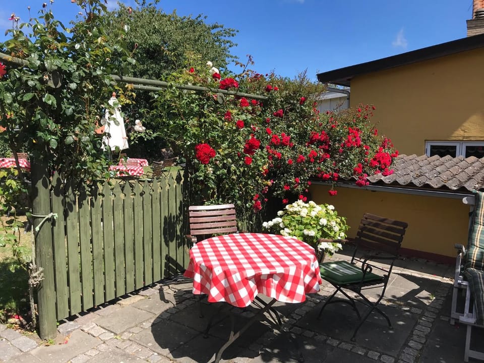 Inner courtyard view