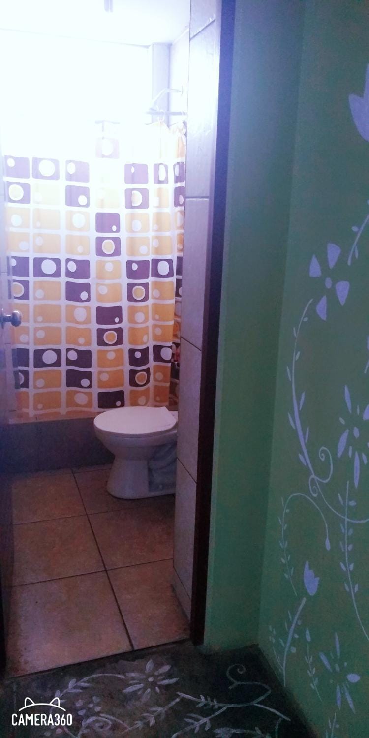 Shower, Toilet, Bathroom, Other, Other, Photo of the whole room, Decorative detail, Bedroom