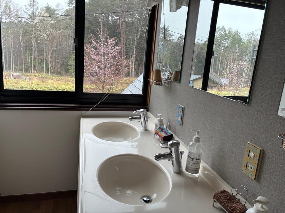Toilet, Bathroom, towels