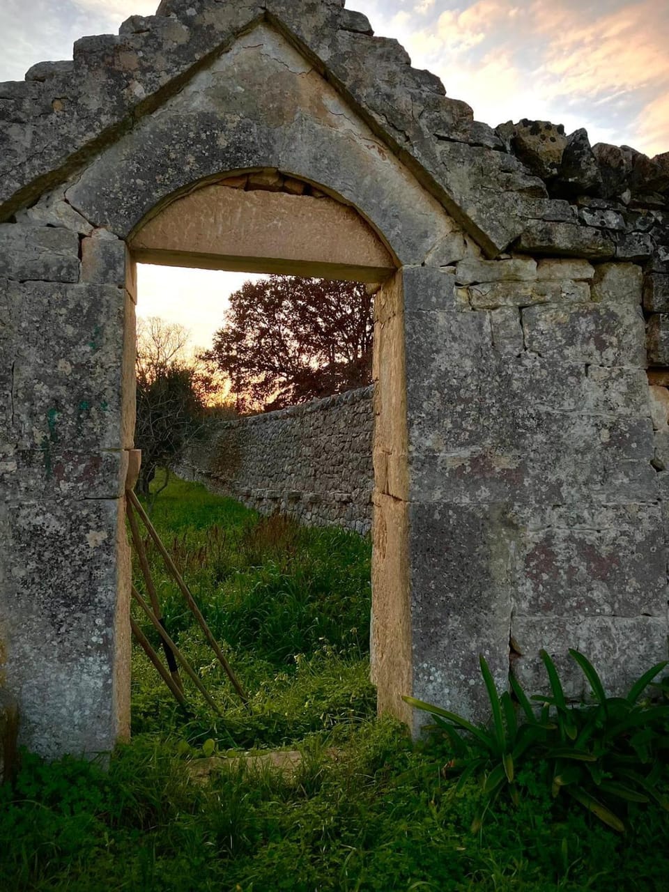 TRULLI CONTI Grande spazio alberato incontaminato- prenotazione esclusiva House in Province of Taranto
