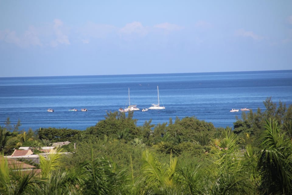 Sea view