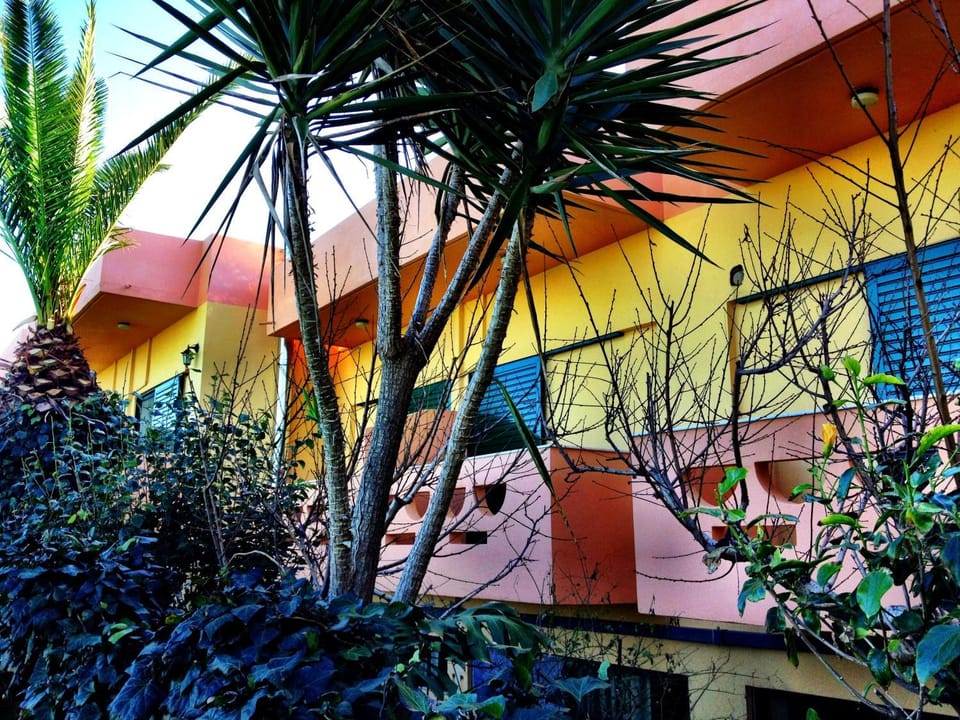 Property building, Day