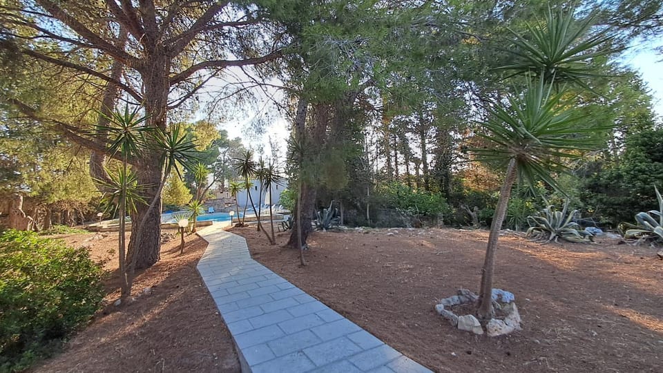 Masseria Artemisia Bed and Breakfast in Apulia