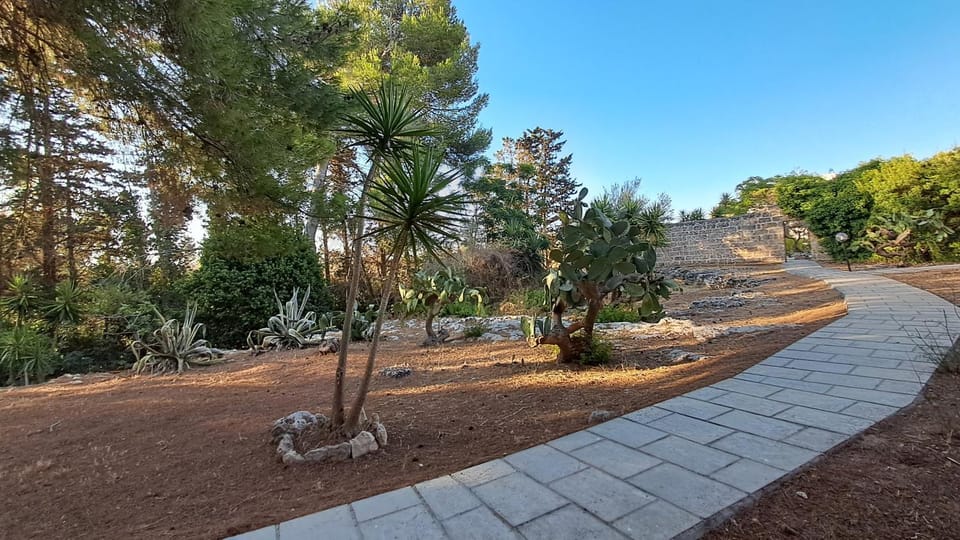 Masseria Artemisia Bed and Breakfast in Apulia