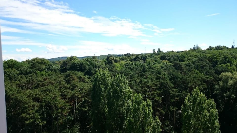 Neptun apartman Apartment in Balatonszárszó