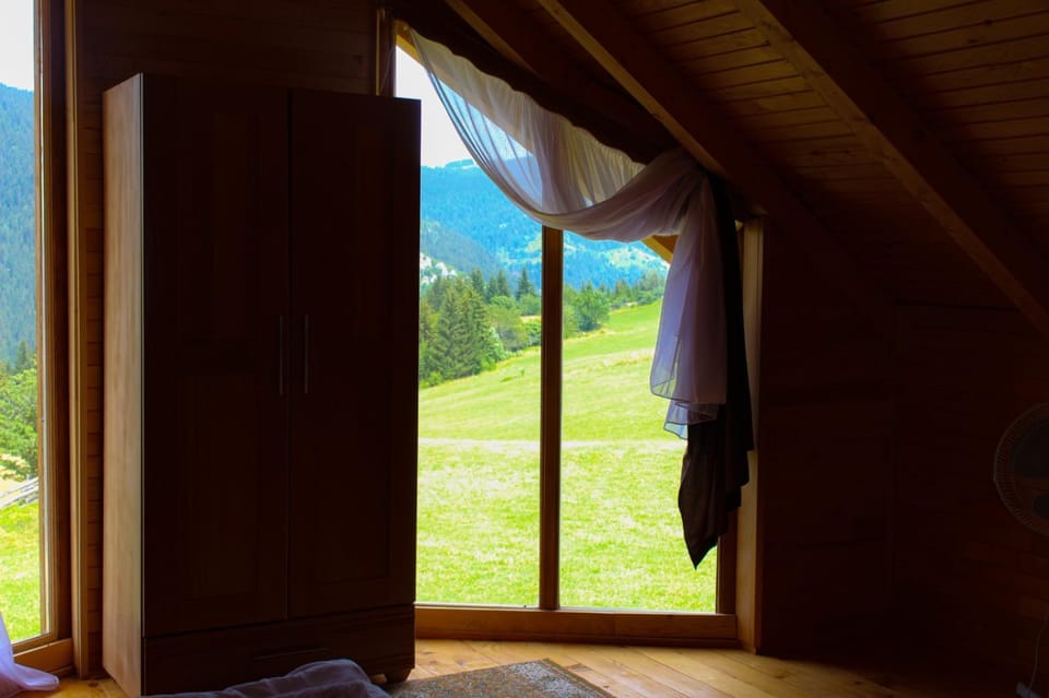 Day, Natural landscape, Garden, Garden view