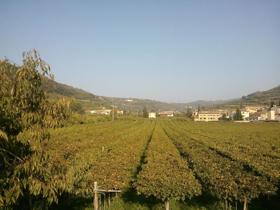 View (from property/room), Area and facilities