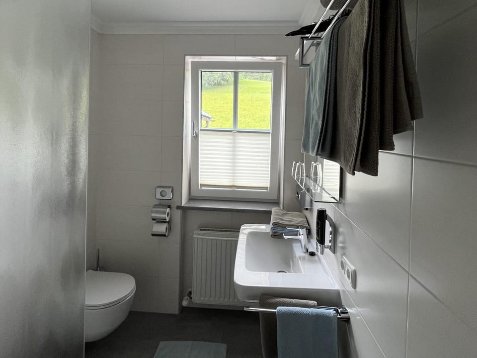 Toilet, Bathroom, towels