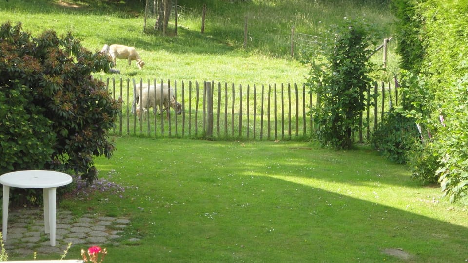 Summer, On site, Garden view