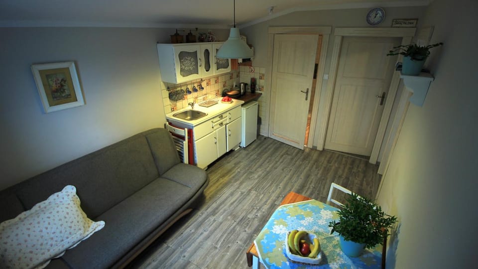 Kitchen or kitchenette, Living room, Photo of the whole room