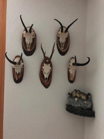 Other, Decorative detail