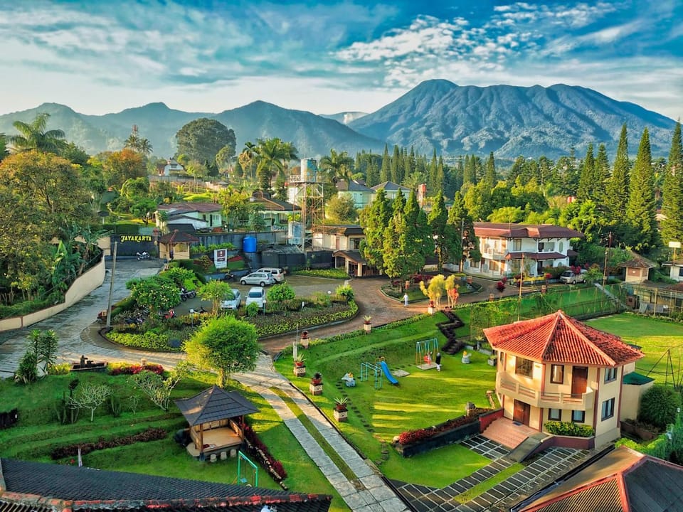 Bird's eye view, Decorative detail, Mountain view